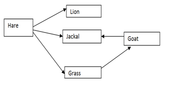 consumers diagram.png